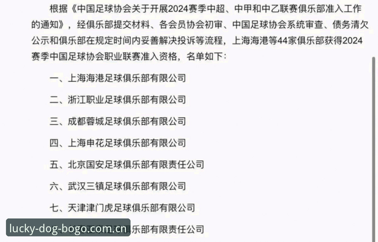 资深用户分享：从足协第三批禁足名单看中国足球的深度清洗实战经验